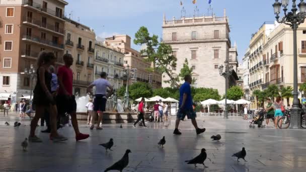 Plaza de la virgen i valencia, Spanien — Stockvideo
