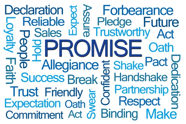 Promise Word Cloud — Stock Photo, Image