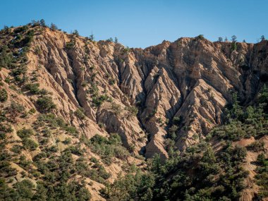 Güneşli bir kış gününde Kaliforniya dağlarına bakıyorum..