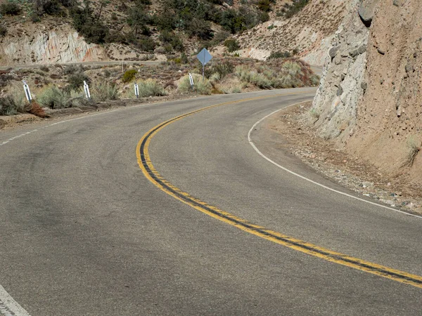Eine Kurvenreiche Straße Die Nachmittag Durch Den Kalifornischen Wald Frazier — Stockfoto