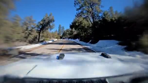 Dashcam View Driving Snow Lined California Road Winter — Stok Video
