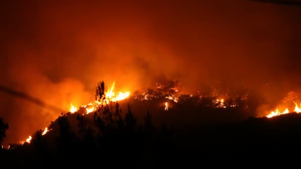 Лесные пожары ночью — стоковое видео