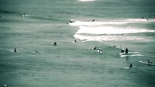 Серфингисты, едущие на волнах — стоковое видео