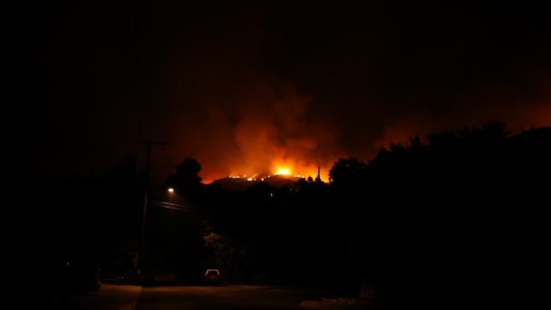 森林大火在晚上 / 不玩耍 — 图库视频影像