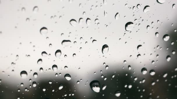 Gotas de lluvia en el parabrisas — Vídeos de Stock