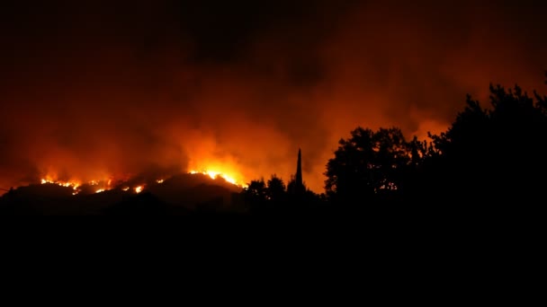 Лесные пожары ночью — стоковое видео