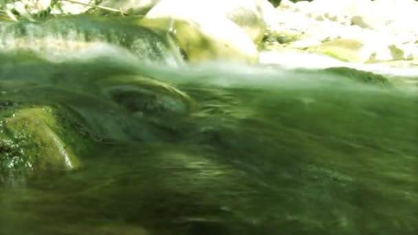 Close up of algae in a rapid fresh water stream — Stockvideo