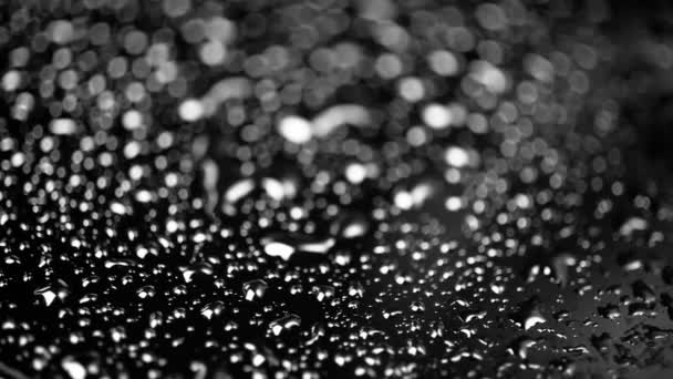 Water Drops Rotating on black — Stock Video