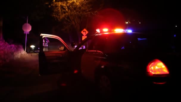 Luces de coche policía — Vídeo de stock