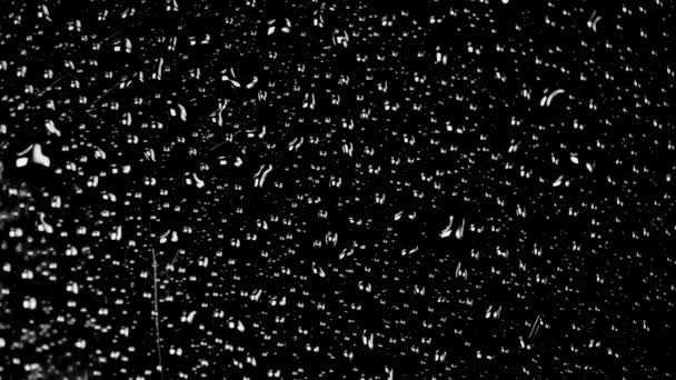 Pulvérisations d'eau sur noir — Video