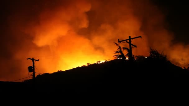 Лесные пожары ночью — стоковое видео