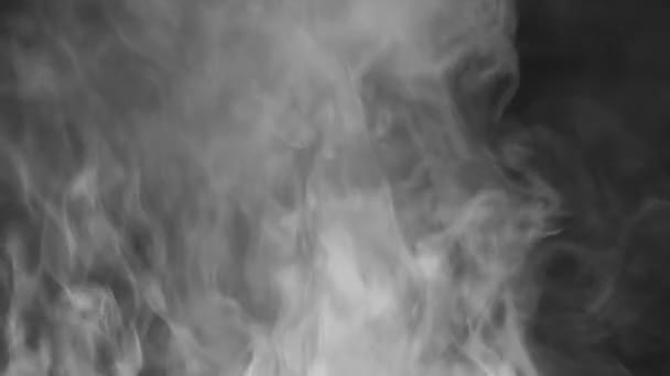 Rook stijgt boven zwart — Stockvideo