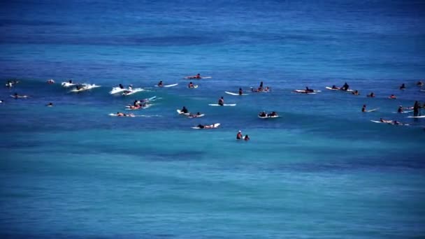 Surfistas en aguas azules — Vídeo de stock