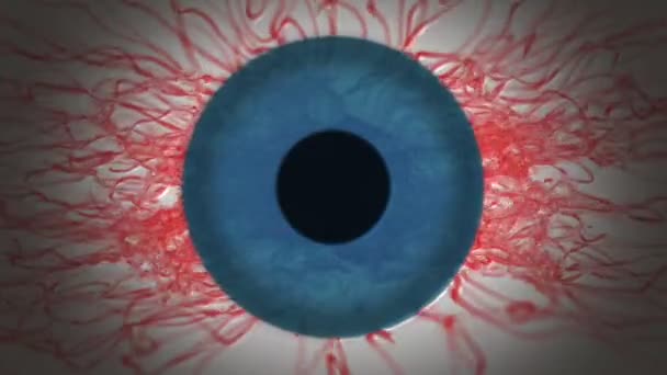 Abstrakte Adern blaues Auge — Stockvideo