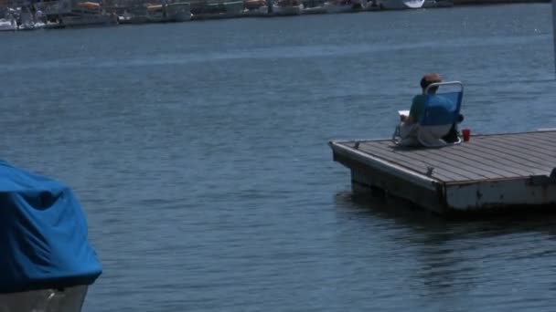 Woman reads book on dock — Stock Video