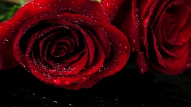 gül üzerinde bırakarak su