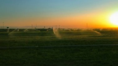 sod sulanan alanları