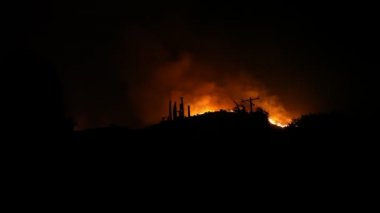 Orman alevler geceleri