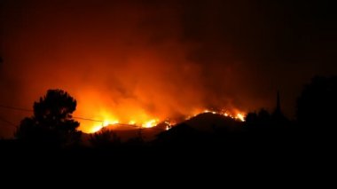 Orman alevler geceleri