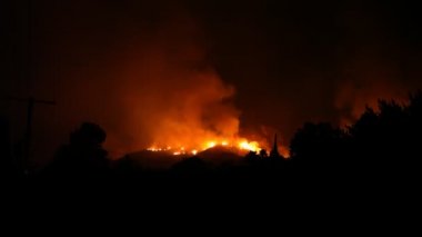 Orman alevler geceleri