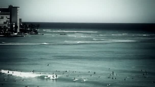 Multitud de surfistas en olas — Vídeo de stock