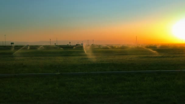 Campos de césped regado — Vídeos de Stock