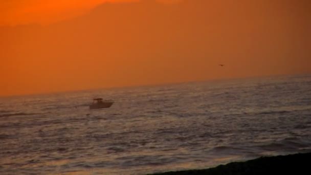 Barco através da costa oceânica — Vídeo de Stock