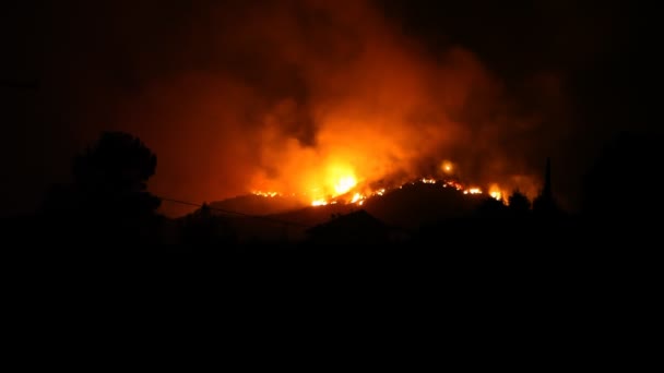 Forest vlammen in de nacht — Stockvideo