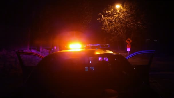 Luces de coche policía — Vídeos de Stock