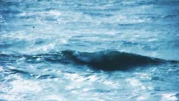 Синий с берега волн — стоковое видео