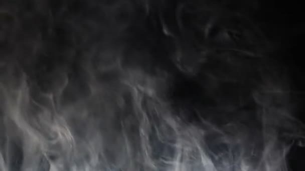 Fumo che sale sul nero — Video Stock