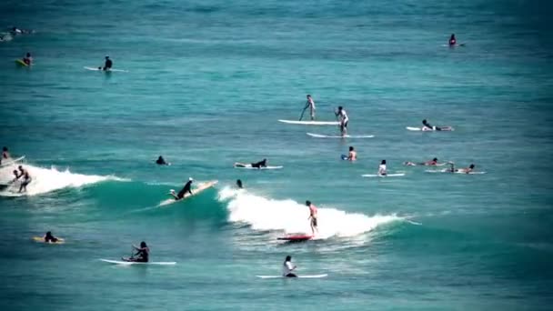 Grupo de surfistas en el agua — Vídeo de stock