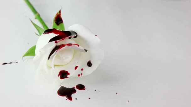 Black oil spilling on White Rose — Stock Video