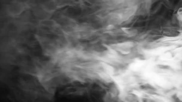 Humo blanco sobre negro — Vídeo de stock