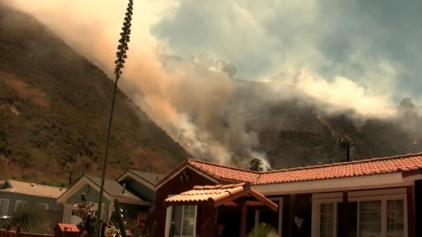 Hillside fire close to houses — Stock Video