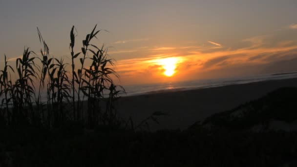 Zonsondergang aan het strand — Stockvideo