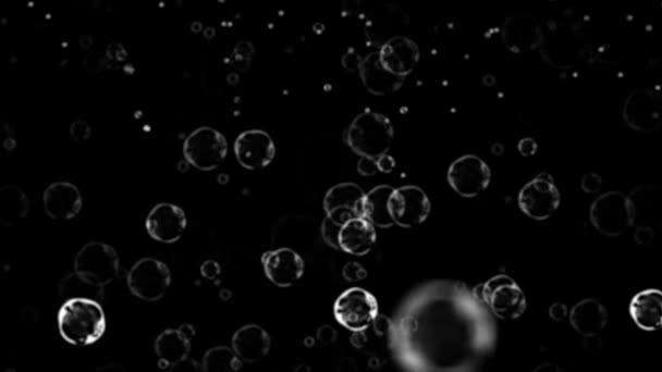 Bubbles over Black Background — Stock Video