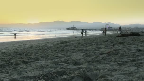 Playa de Santa Mónica al amanecer — Vídeo de stock