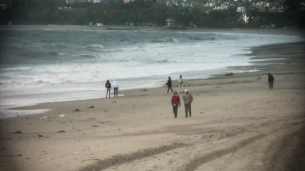 Personas en actividades recreativas en la playa — Vídeos de Stock