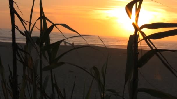 Zonsondergang in Zuid-Californië beach — Stockvideo