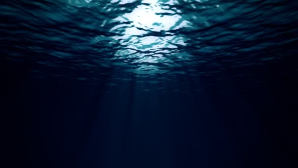 Bajo el profundo mar oscuro — Vídeo de stock