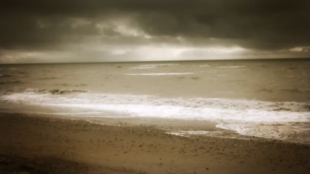 Cinematic Sepia toned overcast beach scene — Stock Video