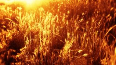 Alandaki gerçeküstü günbatımı