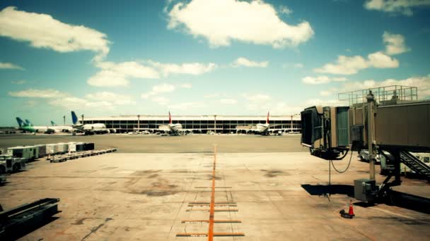 Terminal de aerolíneas vacías durante el día — Vídeo de stock