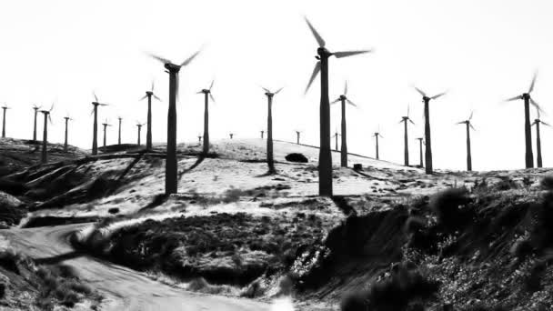 High Contrast Wind Turbines — Stock video