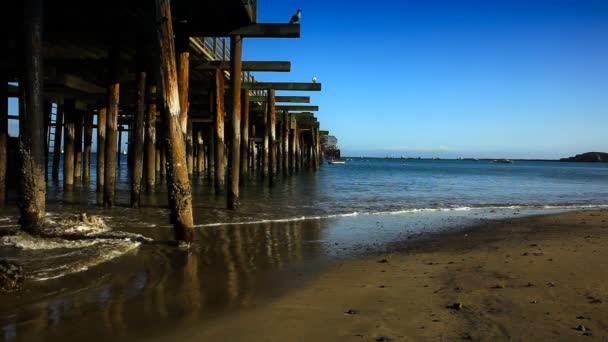 Perspectiva de tiro mirando por un muelle — Vídeos de Stock