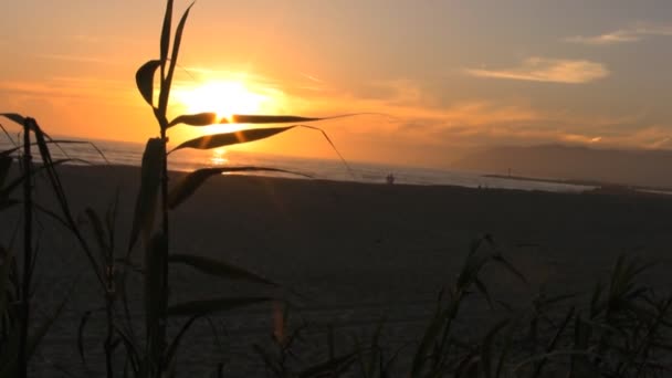 Puesta de sol en la playa del sur de California — Vídeo de stock