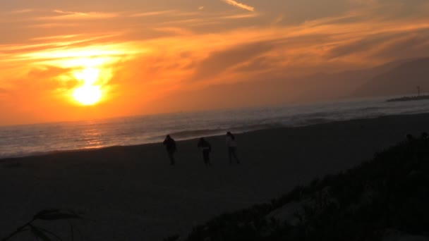 Puesta de sol en la playa — Vídeos de Stock