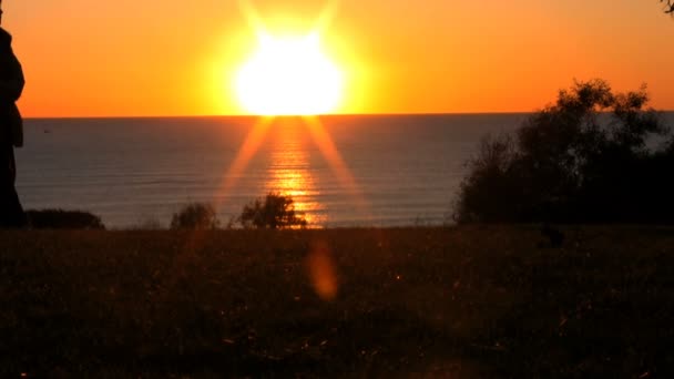 Woman walking dog in park over looking ocean at sunset — Stock Video