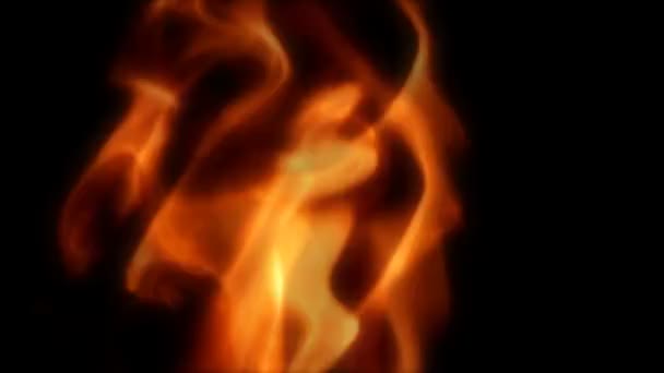 Close up of isolated flames over black — Stock Video